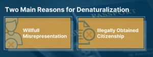 Different Reasons for Denaturalization